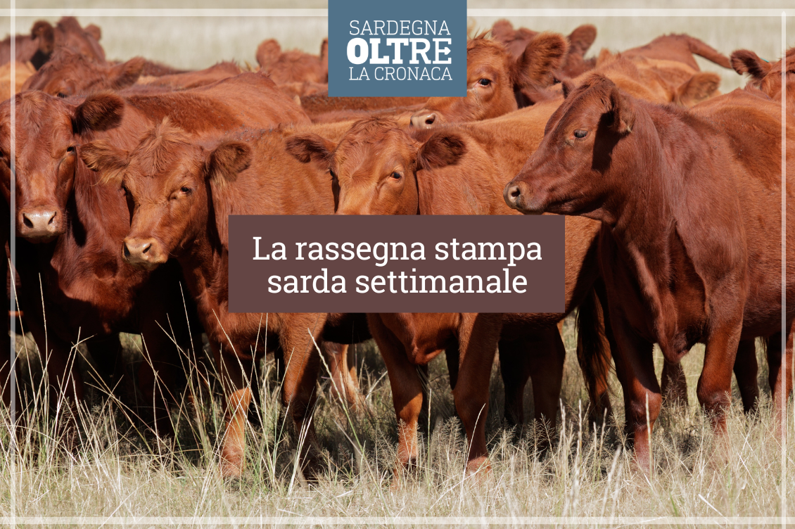 Immagine di repertorio Canva